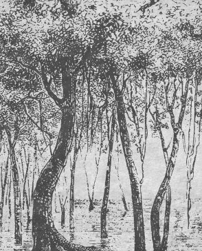 Фрески Wall Street Фрески 21786 изображение 0