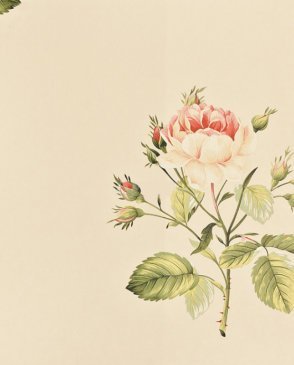 Обои Sanderson Classic Collection 2 Classic Collection 2 DCLAER-101 изображение 0