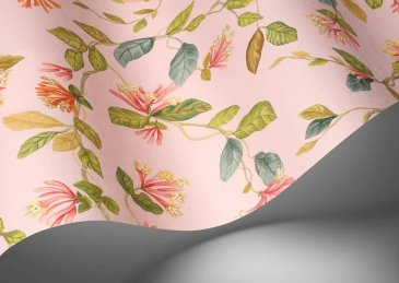 Обои Cole & Son Hummingbirds Cream 124-3016 изображение 2