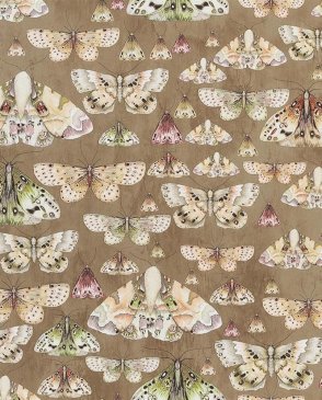 Английские Обои с бабочками, насекомыми Jardin Des Plantes PDG713-06 изображение 0