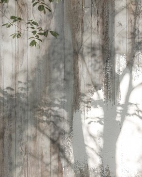 Фрески Фрески 25338 изображение 0