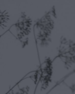 Фрески Фрески 25341 изображение 0