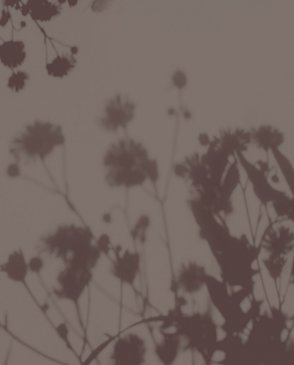 Фрески Wall Street Фрески 25347 изображение 0