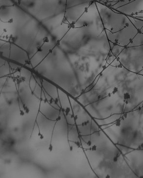 Фрески Фрески 25348 изображение 0