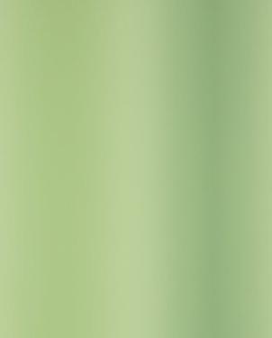 Обои Designers Guild Surabaya P631-07