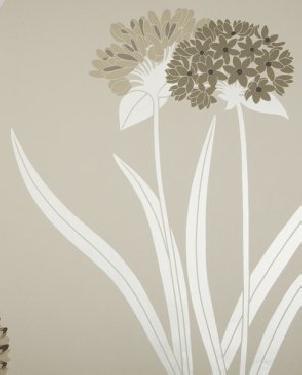 Обои Sanderson Pom Pom Papers Pom Pom Papers DPOMLI107 изображение 0