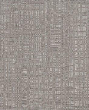 Обои Sirpi Alta Gamma Shade 26258 изображение 0