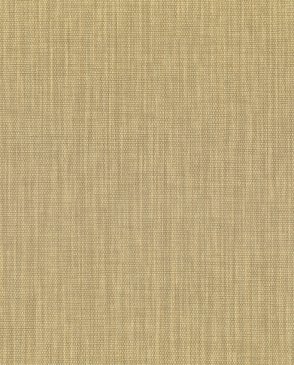 Обои Sirpi Alta Gamma Shade 26262 изображение 0