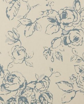 Обои Clarke & Clarke Clarisse Clarisse W0027-06 изображение 0