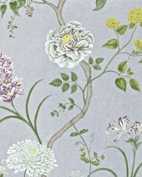 Обои Sanderson Painter's Garden Painter's Garden DAPGST105 изображение 0