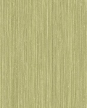 Обои с линиями зеленые Plains&Textures 1430504 изображение 0