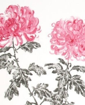 Обои Designers Guild Marienlyst p457-01