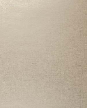 Обои Clarke & Clarke Showstoppers W0006-15