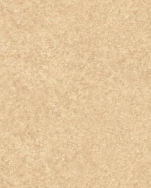 Обои Chesapeake Patina II PT71241