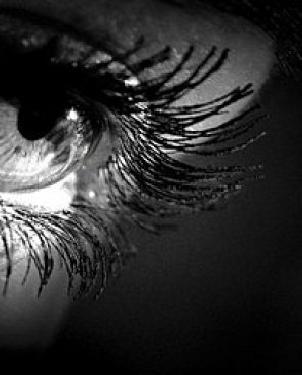 Обои Atlas Wallcoverings Raphael 1 1059