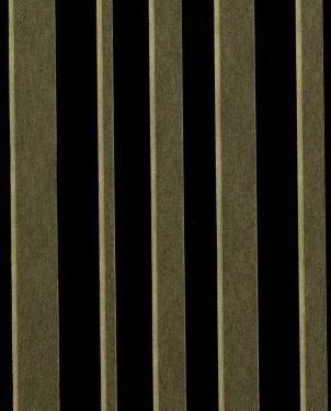 Обои Sirpi Rhinoceros 15533