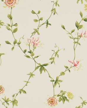 Обои Sanderson Classic Collection 2 Classic Collection 2 DCLAPF-102 изображение 0