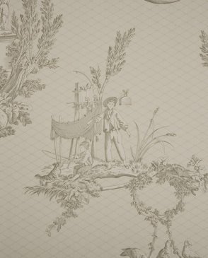 Обои Sanderson Toile Collection Toile Collection DEGTVD103 изображение 0