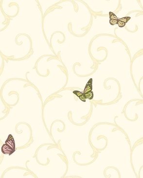 Обои с бабочками, насекомыми Forever Young H2910903 изображение 0