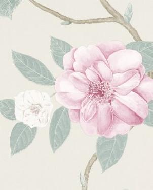 Обои Sanderson Voyage of Discovery Wallpapers Voyage of Discovery Wallpapers DVOY213376 изображение 0