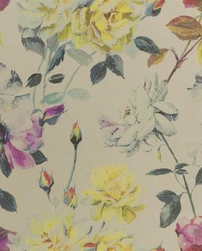 Обои бумажные с акварельными цветами Jardin Des Plantes PDG711-02 изображение 0