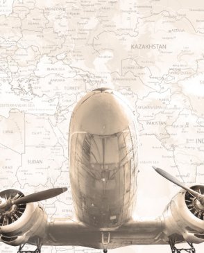 Обои – новинки Карты 30334 изображение 0