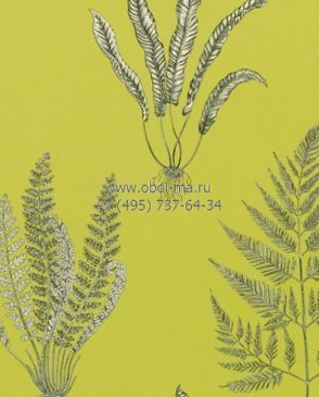 Обои Sanderson Painter's Garden Painter's Garden DAPGWO101 изображение 0