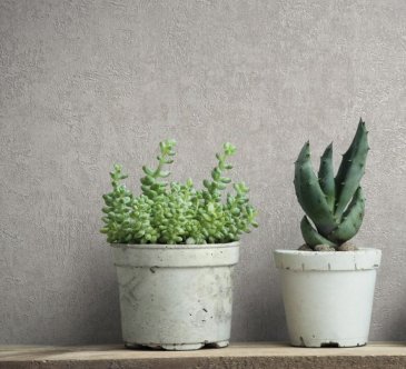 Обои Marburg Balance 34568 изображение 3