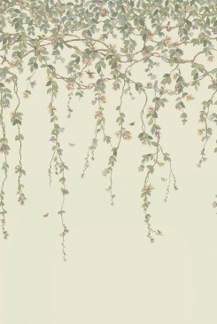 Обои Cole & Son Hummingbirds Cream 124-2013 изображение 3