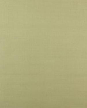 Обои The Carlisle Company Peacock Alley VX2270ex