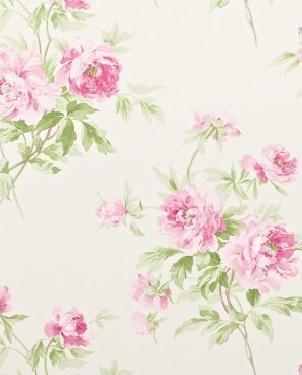 Обои Sanderson Caverley DCAVAD104