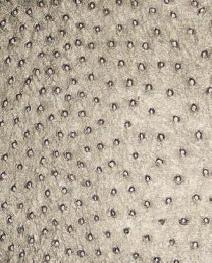 Обои Jannelli&Volpi JV301 UT115