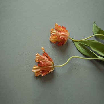 Обои Loymina British Style Garden Brit13-012-1 изображение 2