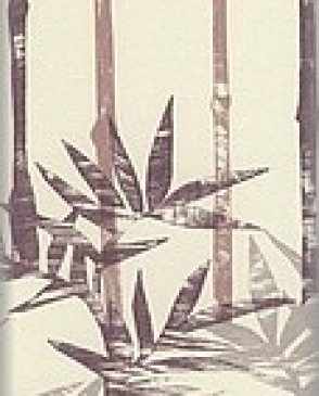 Обои Sandberg Miki 757-65