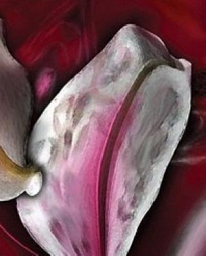 Обои Atlas Wallcoverings Raphael 4 1401