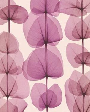 Обои A.S. Creation X-ray 34245-3