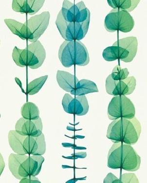 Обои A.S. Creation X-ray 34246-4