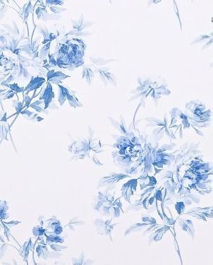 Обои Sanderson Caverley DCAVAD105