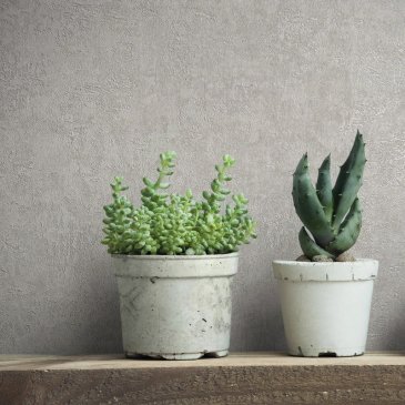 Обои Marburg Selection 34568 изображение 3