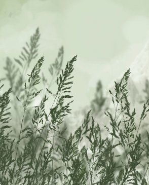 Фрески Ortograf Венто 34992 изображение 0