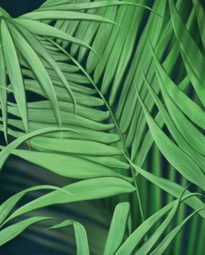 Обои – новинки It`s jungle 35076 изображение 0