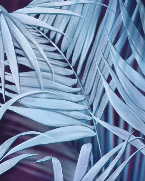 Обои – новинки It`s jungle 35077 изображение 0