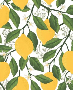 Фрески Ortograf Enjoy 35107 изображение 0