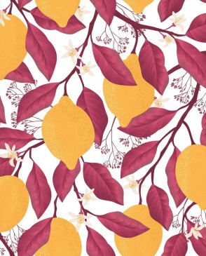 Фрески Ortograf Enjoy 35109 изображение 0