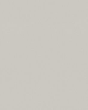 Обои с эффектом окрашеной стены Nuance 35253 изображение 0