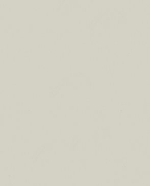 Обои с эффектом окрашеной стены Nuance 35257 изображение 0