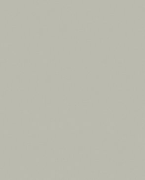 Обои с эффектом окрашеной стены Nuance 35264 изображение 0