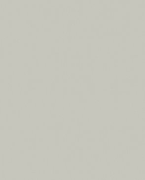 Обои с эффектом окрашеной стены Nuance 35265 изображение 0