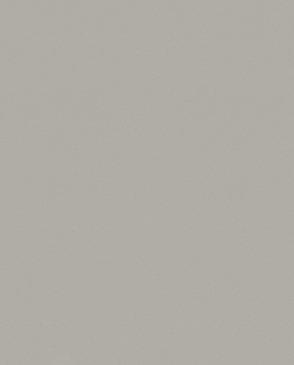 Обои с эффектом окрашеной стены Nuance 35269 изображение 0