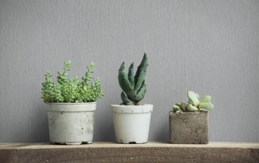 Обои Marburg Nuance 35303 изображение 3